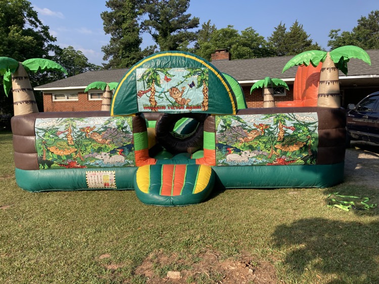 Jungle Gym